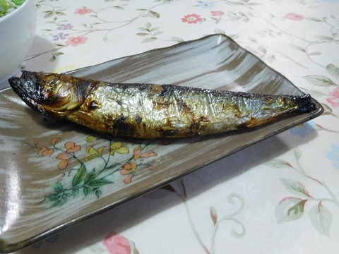 めざし