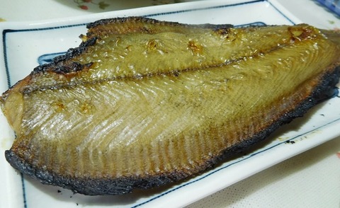 なめた鰈