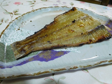 鰈