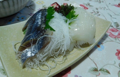 サンマとイカのお造り