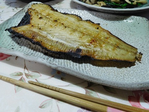 鰈