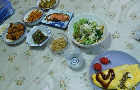 DSCN5692