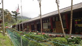 茶園の中の小学校
