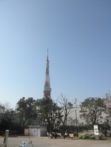 増上寺からみる東京タワー