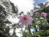 9月3日 (18)