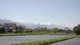 アルプスと安曇野の田園