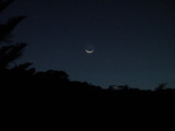 下弦の月