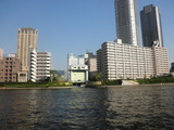 隅田川から見る東京