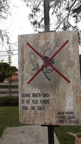 花を摘んだら罰金1500円