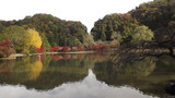 日本の紅葉は世界一