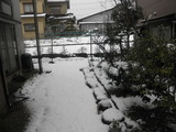 久しぶりの積雪