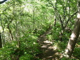 尾根伝いの登山道