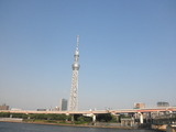 隅田川から見るツリー