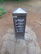 登山道が一段と整備され