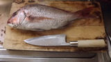 誕生祝いの包丁と鯛
