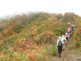 小倉山の峰を行く