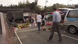 DSCF7483