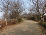 冬枯れの公園