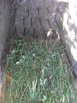 落とし穴の仕掛け