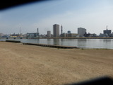 やすらぎ堤から駅方面を望む
