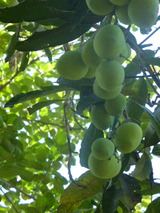 どの家にもある風景2