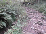 登り3分の一は沢のガレ場