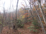 山の紅葉は終わり
