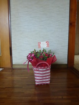 娘から母の日にプレゼント