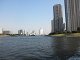 隅田川から見る東京