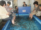 魚が泳ぐ足湯につかる日本人
