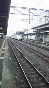 05e8c20e.jpg