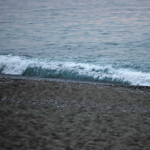 IMG_7626