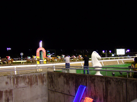 005���ζᤵ��̥��