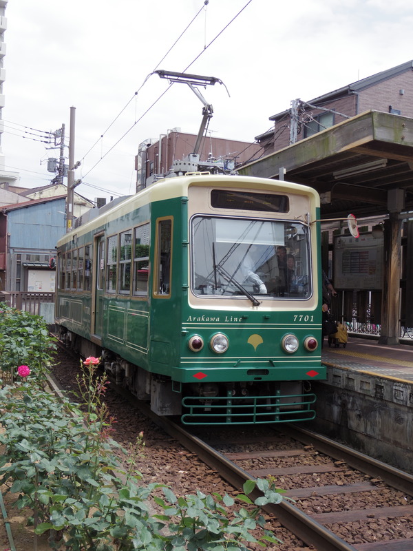 IMGP4431