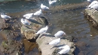 20180410_131401