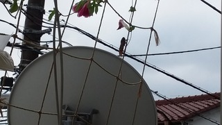 20170817_160642