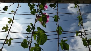 20170715_084751