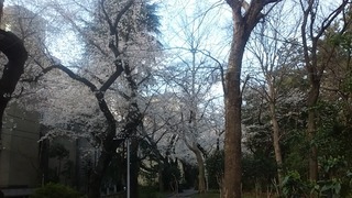20180324_074736