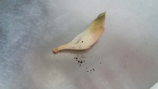20170825_175748
