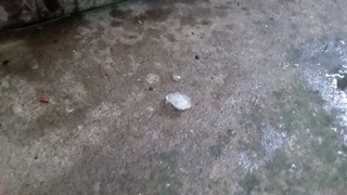 20170819_171954