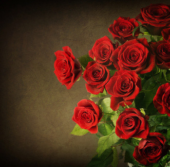Fotolia_29543247_XS