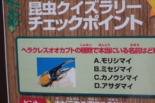 昆虫展2
