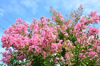 長野8月1