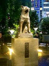 1a49a751.jpg
