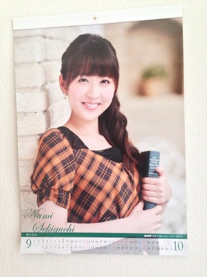 ★カレンダー　2017年NHK気象予報士　酒井千佳/関口奈美/菊池真以さん ☆カレンダー 2017年NHK気象予報士 酒井千佳/関口奈美/菊池真以さん