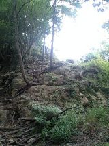 4bccd2a0.jpg