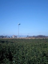621da77d.jpg