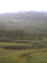 a73a62c7.jpg
