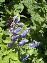 b0455f80.jpg