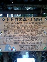 c78cd0f4.jpg